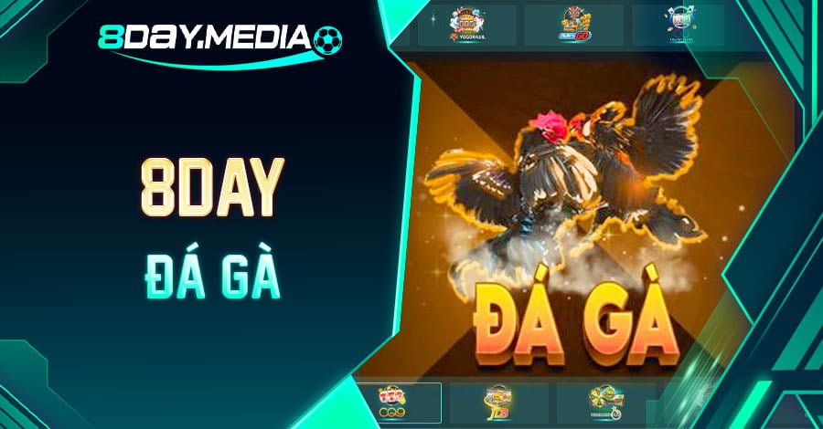 Tham gia cá cược Đá Gà hấp dẫn