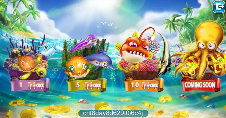 Kinh nghiệm săn cá đổi thưởng